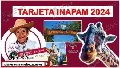 INAPAM 2024: Accede a este descuento y conoce a la jirafa Benito en Africam Safari