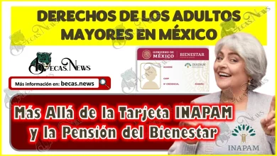 Derechos de los Adultos Mayores en México: Más Allá de la Tarjeta INAPAM y la Pensión del Bienestar
