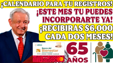 ¡Comienza el Registro para la Pensión del Bienestar! Inscríbete si Cumples 65 Años entre Julio y Agosto