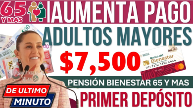 Nuevos Beneficios para Adultos Mayores y Estudiantes, con Posible Aumento en Pensiones para 2025