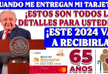 Entrega de Tarjetas del Bienestar para los recién incorporados, Lo Que Debes Saber para Recibir Tu Apoyo