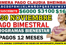 ¡Noviembre Llega con los Esperados Pagos de los Programas del Bienestar!