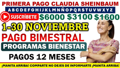 ¡Noviembre Llega con los Esperados Pagos de los Programas del Bienestar!