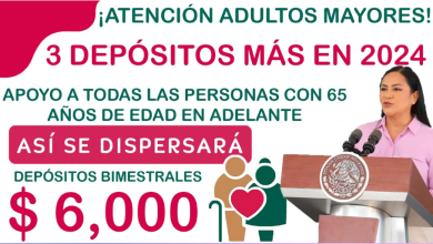 "Horizonte de Apoyo: Las Próximas Tres Fechas Clave de la Pensión Bienestar para Adultos Mayores en 2024"