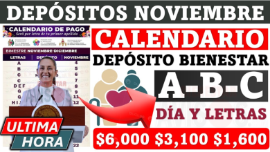 ¿Qué Sorprendente Apoyo Recibirán los Beneficiarios del Bienestar Este Noviembre?