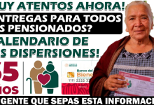 ¡Confirmado!, La Pensión del Bienestar para Adultos Mayores Comienza el 4 de Noviembre