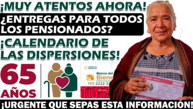 ¡Confirmado!, La Pensión del Bienestar para Adultos Mayores Comienza el 4 de Noviembre