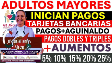 Últimos Pagos del Año para Pensionados| Lo Que Necesitas Saber Sobre los Pagos y Aguinaldos