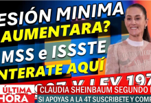 Posible Aumento de la Pensión Mínima Garantizada a 9,413 Pesos para 2025 | Impacto para Pensionados del IMSS e ISSSTE