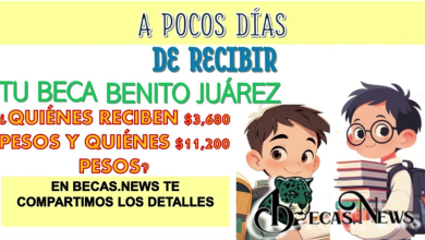 ¿Sabías Cuánto Recibirás por la Beca Benito Juárez en Diciembre? Descúbrelo Aquí