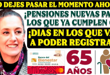 ¿Cumples 65 años este 2024? Regístrate a la Pensión para Adultos Mayores y asegura tu bienestar