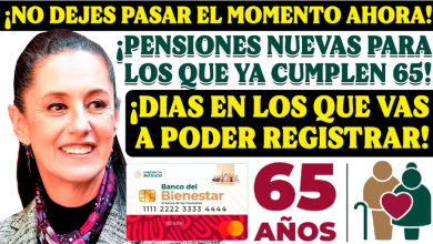 ¿Cumples 65 años este 2024? Regístrate a la Pensión para Adultos Mayores y asegura tu bienestar