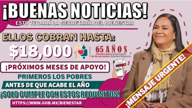 "Asistencia Económica para Adultos Mayores: Gobierno Dispensa $18,000 en Apoyos"