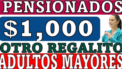 ¿Sabías que las mujeres de 25 a 45 años pueden recibir $1,000 bimestrales? Descubre cómo