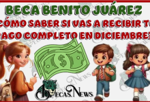 ¿Recibirás el pago completo este Diciembre? Descubre cómo verificarlo antes de que sea demasiado tarde