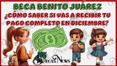 ¿Recibirás el pago completo este Diciembre? Descubre cómo verificarlo antes de que sea demasiado tarde