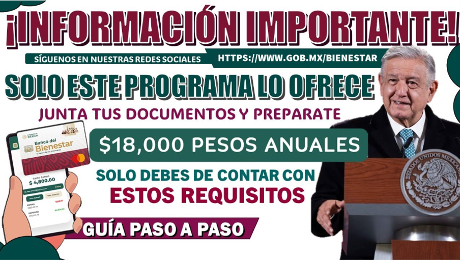 "Programa de Apoyo Económico para Personas con Discapacidad en México: Requisitos y Cobertura Estatal"