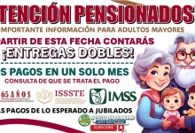 "Actualización sobre Pagos de Pensiones IMSS, ISSSTE y Bienestar para Adultos Mayores"