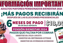 "Calendario de Pagos 2024 para Beneficiarios de la Pensión Bienestar: Información Detallada para Adultos Mayores"