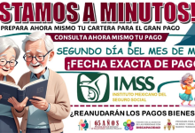 Calendario de Pagos para Pensionados del IMSS y del Bienestar: Ajustes y Fechas Clave para el Bienestar Financiero
