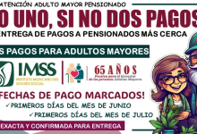 Cambios en el Calendario de Pagos para Pensionados en México Durante la Veda Electoral 2024