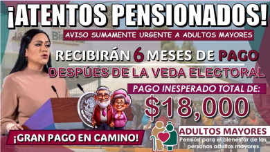 Atención Adultos Mayores: Fechas de Pago y Montos Restantes de la Pensión para el Bienestar 2024