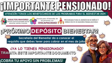 Todo lo que Necesitas Saber sobre la Próxima Entrega de Apoyos para el Bienestar en Julio