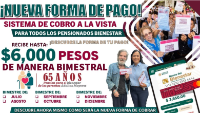 "Fortaleciendo el Bienestar en la Vejez: La Nueva Pensión para Adultos Mayores en México"