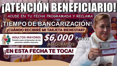 ¡Atención Adultos Mayores Beneficiarios! ¡Entérate de la Fecha de Entrega de Tarjetas del Bienestar en Junio!