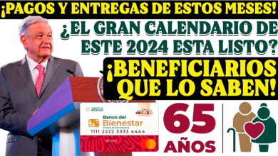 ¡Atención Beneficiarios! Próximo Depósito de Apoyo a Adultos Mayores en Julio: ¡Mantén la Calma, Está Cerca!