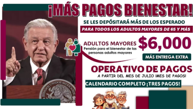 ¡Atención Pensionados! Fechas Importantes de Pago para Julio 2024