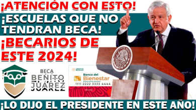 Una Brecha en la Equidad Educativa y Económica que Limita Oportunidades