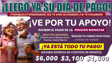 Apoyo oportuno y transparente: Apoyo Crucial para Adultos Mayores, Personas con Discapacidad y Madres Trabajadoras en México