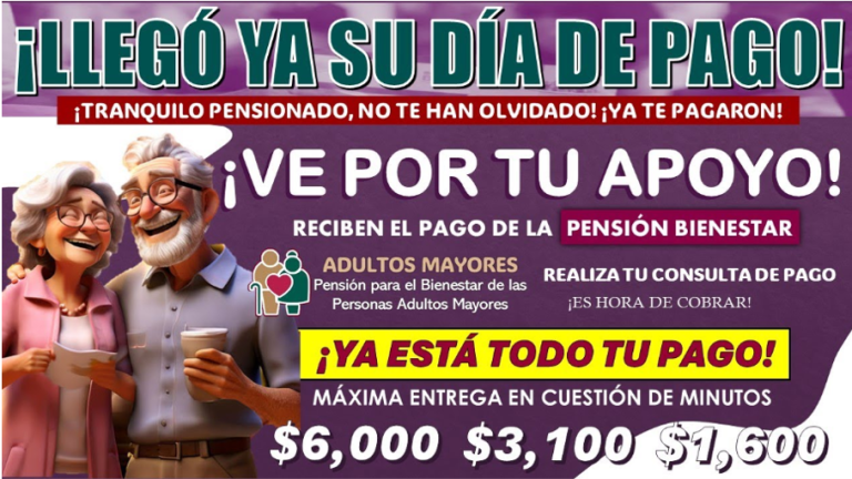 Apoyo oportuno y transparente: Apoyo Crucial para Adultos Mayores, Personas con Discapacidad y Madres Trabajadoras en México