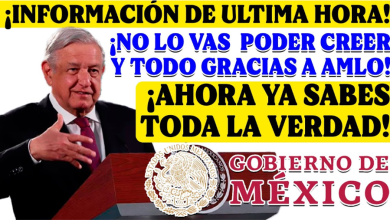 Avances en Bienestar, Infraestructura y Participación Ciudadana durante la Administración de AMLO