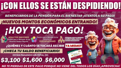 Detalles y Fechas de Pago para Beneficiarios del Programa de Pensiones y Madres Trabajadoras