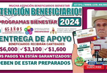 "Reanudación de Apoyos Post-Electorales: Calendario y Montos para Beneficiarios de Programas de Bienestar"