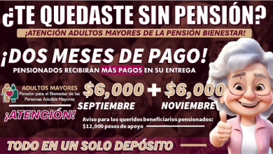 Próximos Pagos de la Pensión Bienestar para Adultos Mayores: Fechas y Cantidades para el ultimo cuatrimestre de 2024