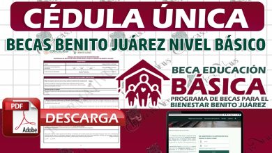 Importante Alumnos ¡Así puedes descargar la Cédula Única! Becas Benito Juárez