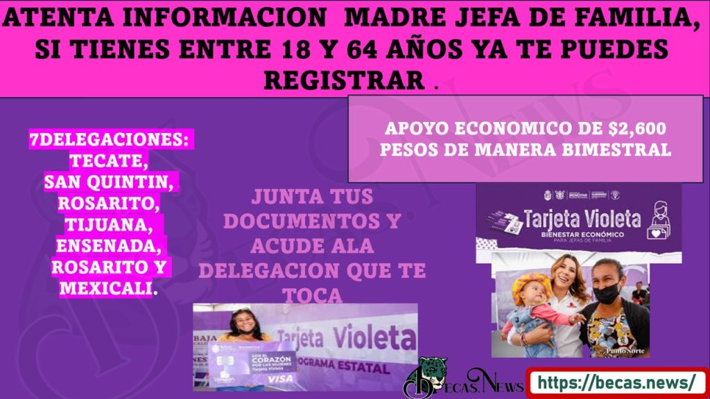 ¿LA TARJETA VIOLETA PARA QUIEN ES?