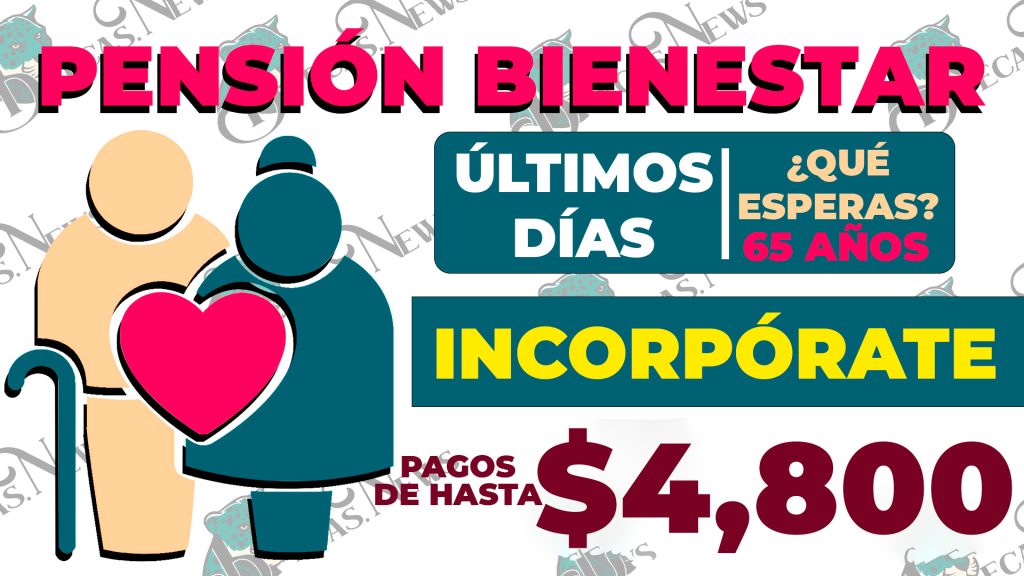 ¡Amigo adulto mayor!, esta información es para tí, importante que consultes ahora mismo: Pensión Bienestar