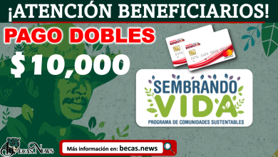 Atención Beneficiarios de SEMBRANDO VIDA ¡Habrá Pago Doble! Primera semana de DICIEMBRE; 10 MIL PESOS