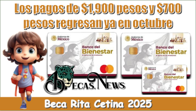 Los pagos de $1,900 y $700 pesos regresan ya en otubre | Beca Rita Cetina 2025 