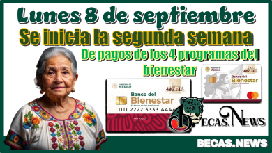 Lunes 8 de septiembre | Se inicia la segunda semana de pagos de los 4 programas del bienestar 