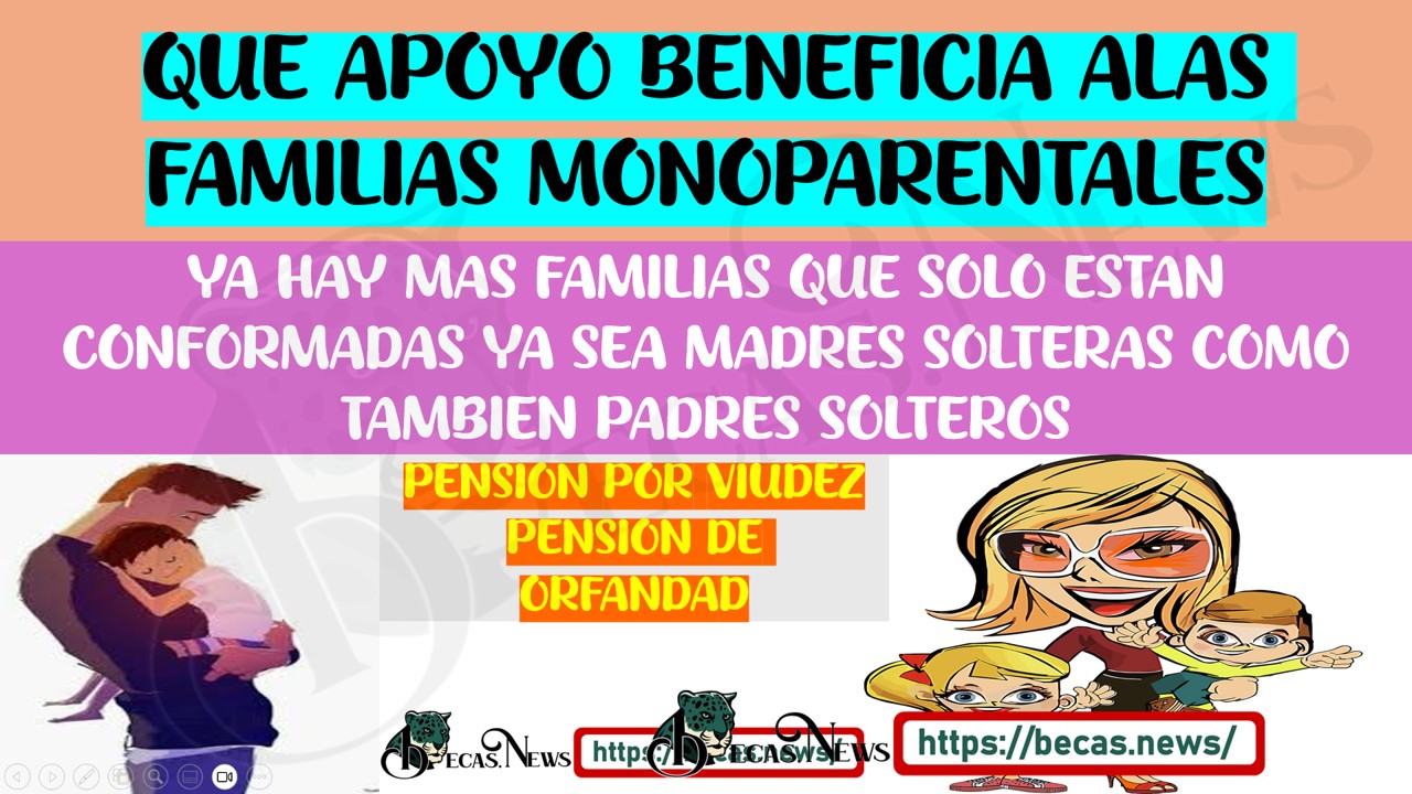 CONOCES SOBRE LAS FAMILIAS MONOPARENTALES Y QUE AYUDAS EXSITEN PARA ELLAS