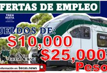 Tren Maya | Vacantes de 25 mil pesos mensuales