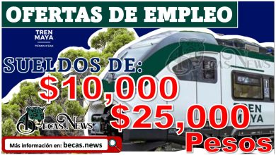 Tren Maya | Vacantes de 25 mil pesos mensuales