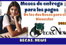 Meses de entrega para los pagos de las dos Becas para el Bienestar 2025 