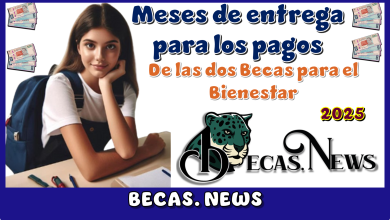 Meses de entrega para los pagos de las dos Becas para el Bienestar 2025 