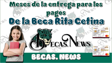 Meses de la entrega para los pagos de la Beca Rita Cetina